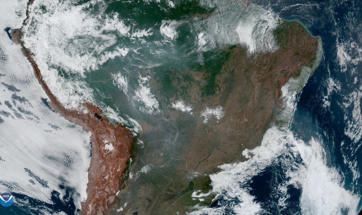 Amazonės gaisrų dūmai driekiasi tūkstančius kilometrų