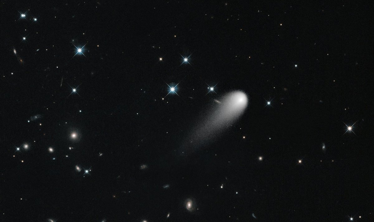 Iš "Hubble" teleskopo nuotraukų sukomponuotas kometos ISON ir aplinkos vaizdas