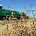Seimas svarstys planus skatinti Lietuvos ūkininkų bendradarbiavimą