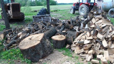 Aplinkosaugininkų rastos ąžuolinės malkos