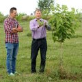 Pomėgis virsta verslu: kaunietis ėmėsi auginti retus Lietuvoje medžius