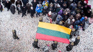 World Lithuanians: we'll take dual citizenship path together with the government