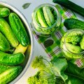 Raugintų agurkų sėkmės paslaptis: du puikūs rauginimo metodai