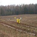 Nusprendė, kiek Lietuvoje atsiras naujų miškų