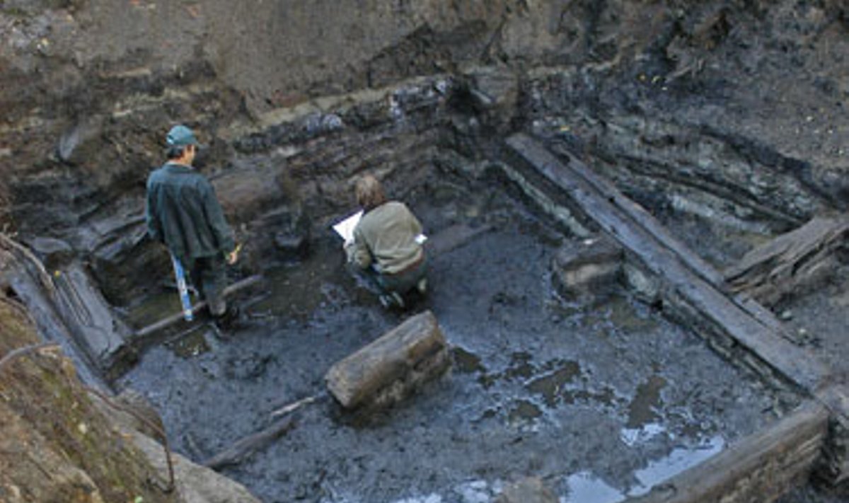 Archeologai, kasinėjimo darbai