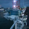 Žvejai stojo į mūšį dėl moliuskų