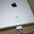 „Apple“ pradėjo pardavinėti „OS X Mountain Lion“