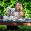 Šunų veisėja Julia – apie tai, kuo karantino laikotarpis ypatingas šunų šeimininkams