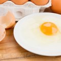 Nenorintiems, kad šventės apkarstų: viskas, ką būtina žinoti apie kiaušinius