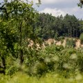 Miško ir žemės savininkų asociacija susitiko su Čmilyte-Nielsen: nerimauja dėl įstatymo pakeitimų