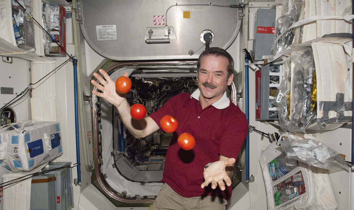 Kanados astronautas Chrisas Hadfieldas 