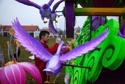 Kinijos žibintų festivalis