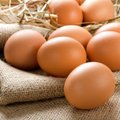 Kodėl parduotuvėje parduodami kiaušiniai – vienodos rudos spalvos?