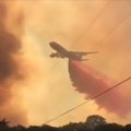 Du Kalifornijos miškų gaisrai - didžiausias ugnies siautėjimas per valstijos istoriją