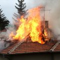 Spustelėjus šaltukui Kėdainių rajone pasipylė gaisrai