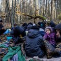 Правозащитники осудили нарушение прав беженцев на границе Польши и Беларуси