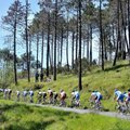 Abu lietuviai 12-tąjį „Giro d'Italia“ etapą baigė antrame šimtuke