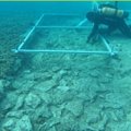 Viduržemio jūros dugne kroatų archeologai aptiko 7 tūkst. metų senumo kelią