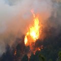 Prancūzijoje – milžiniškas gaisras: ugnį malšina šimtai ugniagesių
