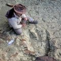 Bolivijoje rasti gigantiški dinozauro pėdsakai