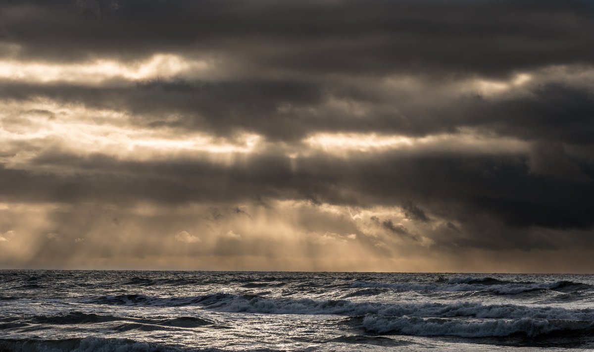2016 10 31 Baltijos jūra ruošiasi žiemai © DELFI / Karolis Bakūnas