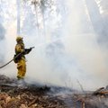Miškininkai įspėja: šalyje įsivyravo IV klasės gaisringumas – pavojingiausia pušynuose