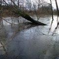 Ситуация в Клайпедском районе остается сложной: уровень воды в реке Миния повышается