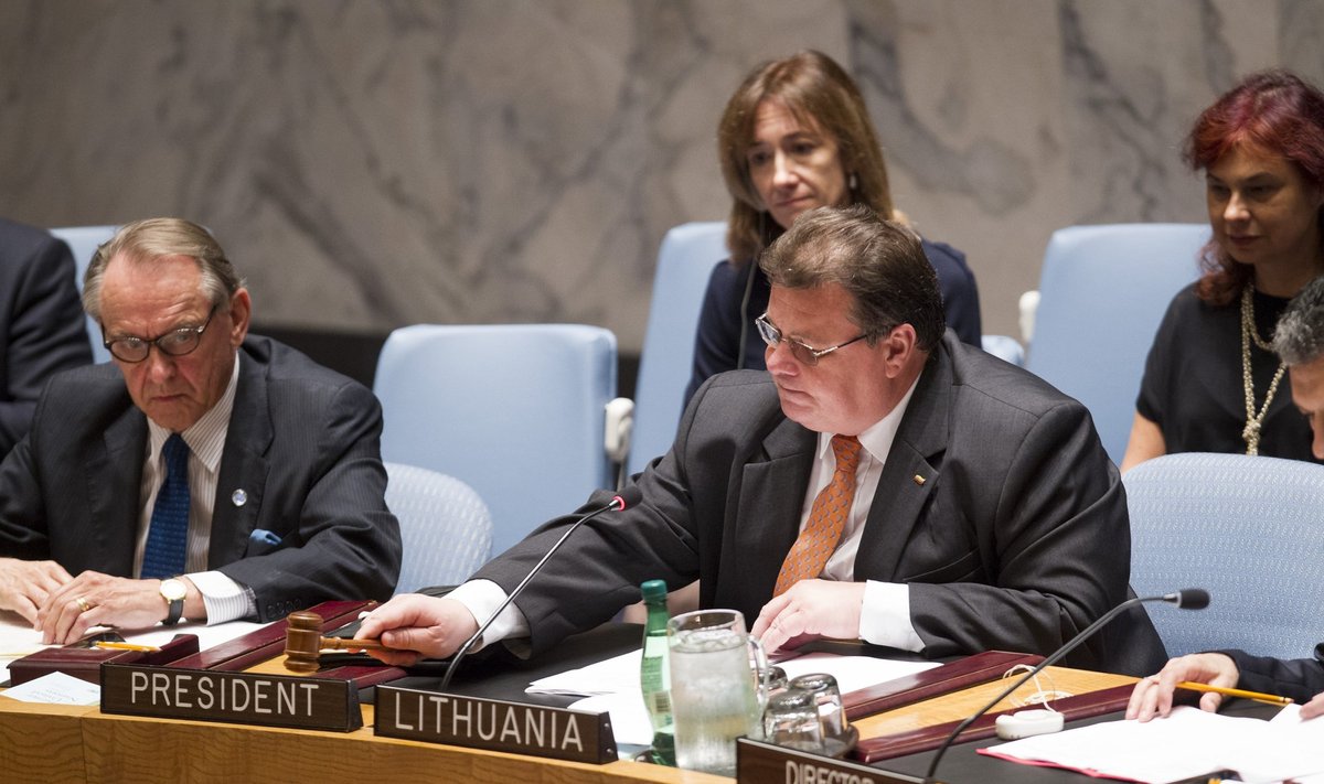 Linas Linkevičius at UN Security Council
