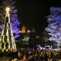 В Тракай зажжены огни на необычной рождественской елке