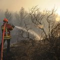 Zarasų miškininkai sulaukė geros žinios: pinigų už gaisrų stebėjimo sistemą grąžinti nereikės