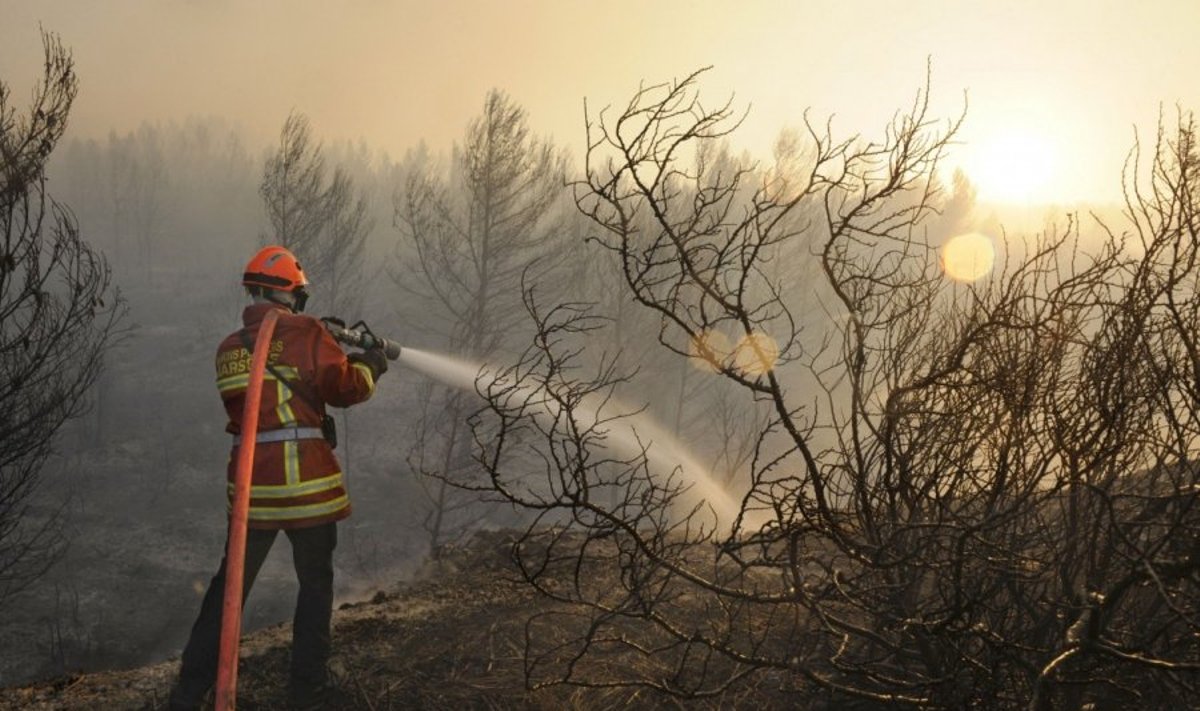 Manoma, kad miško gaisrų stebėjimo sistema veikia ne taip, kaip turėtų