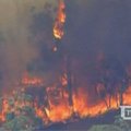 Australijoje tebesiautėjant krūmynų gaisrams gyventojai palieka namus