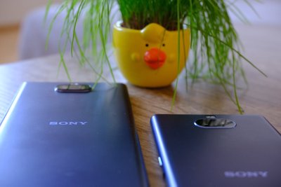 Sony Xperia 10 ir Sony Xperia 10 Plus