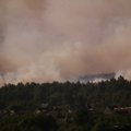 Ekologinės katastrofos grėsmė: dėl gaisro Traksėdžių durpyne žus itin reti vabzdžiai ir augalai