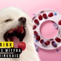 Alfo šuo. Uogų guminukai šunims (gausūs antioksidantų)