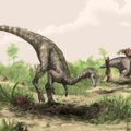 Antarktyje – radinys, pakeitęs supratimą apie dinozaurų laikus