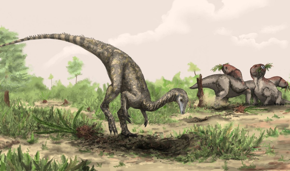 Taip galėjo atrodyti, manoma, seniausias dinozauras pasaulyje Nyasasaurus parringtoni