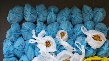 Russian detained after smuggling 15 kg of amber from Kaliningrad to Lithuania