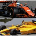 Kuo F-1 F. Alonso „McLaren MCL32“ skiriasi nuo „IndyCar“ automobilio?