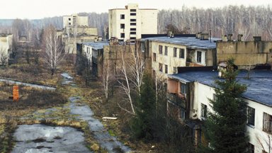 Przyroda w Czarnobylu kwitnie pomimo katastrofy