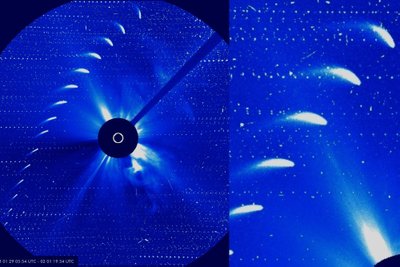 Kometos 96P/Machholz padėtis kas 6 valandas sausio 29 - vasario 1 dienomis. SOHO/ESA/ NASA/M. Macijausko nuotr.