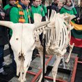 Hundreds of dairy farmers protest in Vilnius over milk crisis