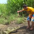Kosta Rikos gyventojas dėl turistų rizikuoja gyvybe šerdamas laukinius krokodilus