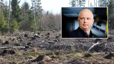 Министр охраны окружающей среды Литвы вырубил лес: поднят вопрос отставки политика