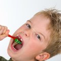 Tai, ko vaikams nederėtų žinoti: atskleisti negirdėti faktai apie dantukų fėją