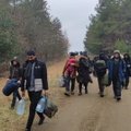 Очередная группа мигрантов пыталась прорваться из Беларуси в Польшу