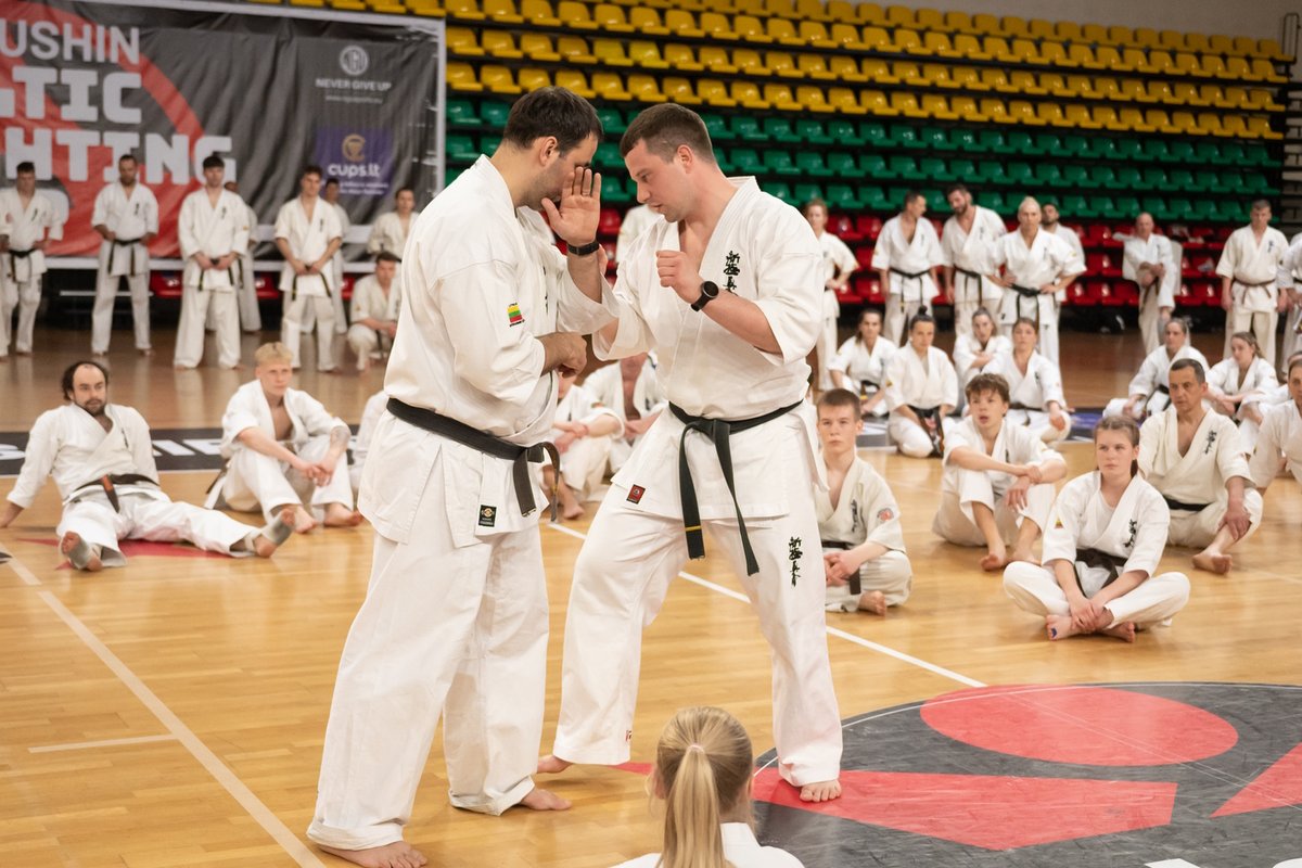 Międzynarodowa impreza w Palangoje subūrė setki kiokušin karate kovotojų