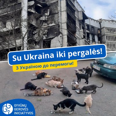 Ukrainos gyvūnai