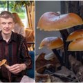 Miškuose pasirodė lietuvių mėgiami valgomi grybai: ne tik įdomūs, bet ir naudingi
