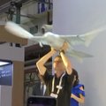 Bioninis kiras skraidė virš Kinijoje surengtos robotų parodos lankytojų